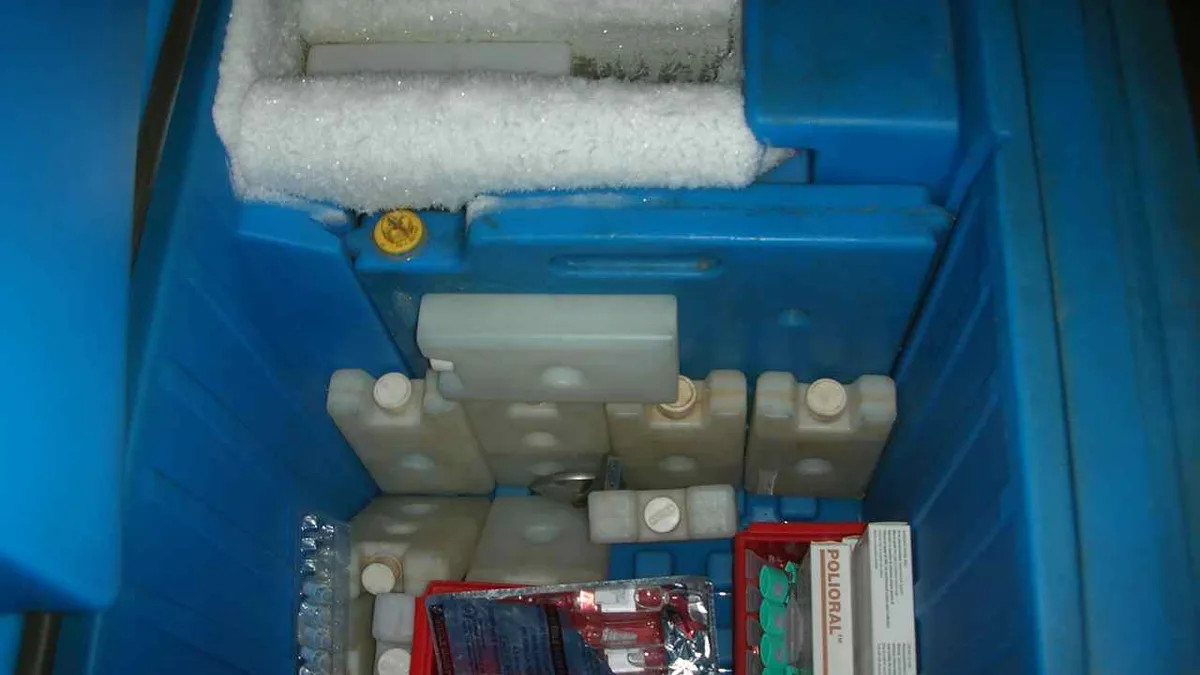 Cold Chain And Fresh
